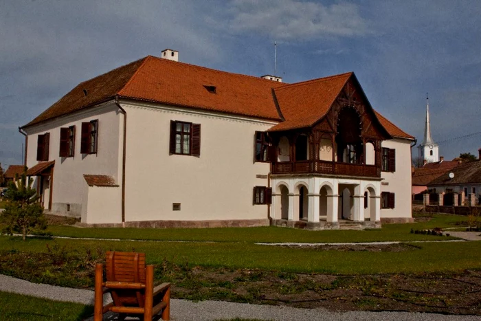 daniel castle talisoara