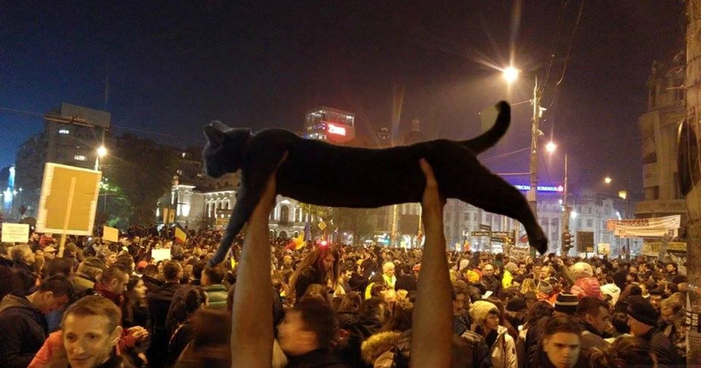 Foto: Sorana Borhină