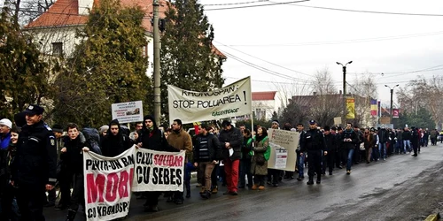 protest sebes alba