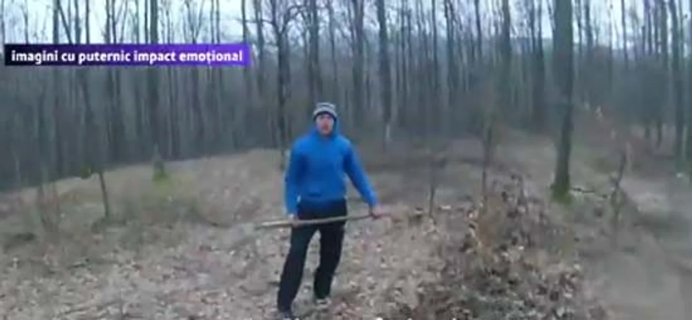 Bărbatul a fost atacat de hoţii de lemnefoto: captură video Digi 24