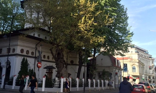 1 71119 original jpg jpeg