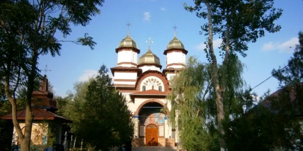 calarasi radu negru