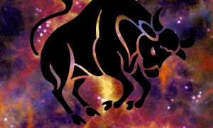 zodiac taurus bull jpeg