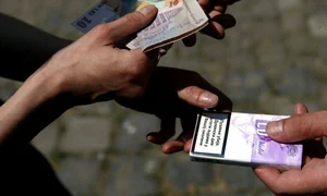 tigari de contrabanda jpeg