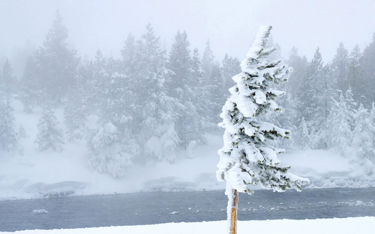 
    Meteorologii anunţă că, vineri, 7 februarie, până la ora 23.00, este ”cod galben” de vânt puternic şi ninsori viscolite, la munteFoto: newsbucovina.ro  
