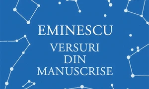 „Que Viva Picasso“, Daraveri de boieri, „Terenul de joacă“ jpeg