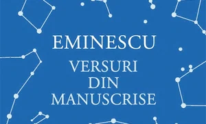 „Que Viva Picasso“, Daraveri de boieri, „Terenul de joacă“ jpeg
