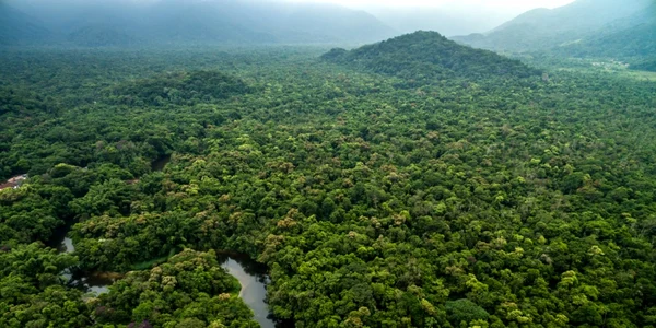 Padurea Amazoniana FOTO civitatis.com