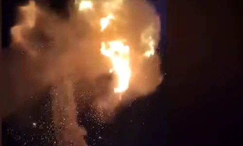ciuperca explozie crevedia jpg
