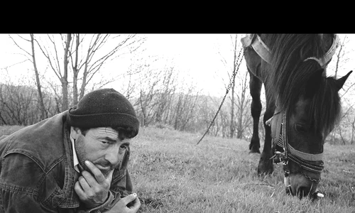 Cum sînt şi cum se cred românii jpeg