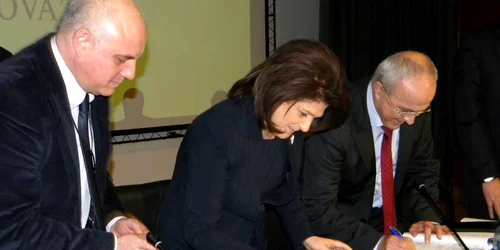 rovana plumb mircea cosma