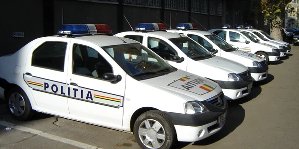 Poliţiştii au intervenit imediat