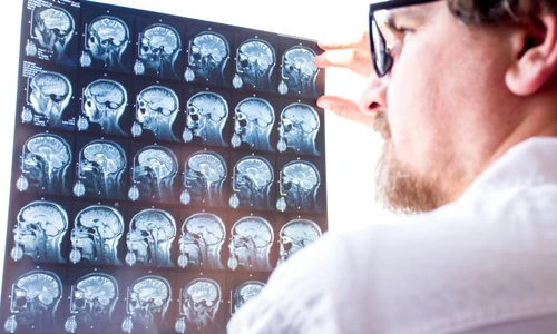 1 shutterstock 1367168078 jpg jpeg