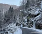 Cheile Jiețului din Hunedoara Foto Daniel Guță ADEVĂRUL (36) jpg