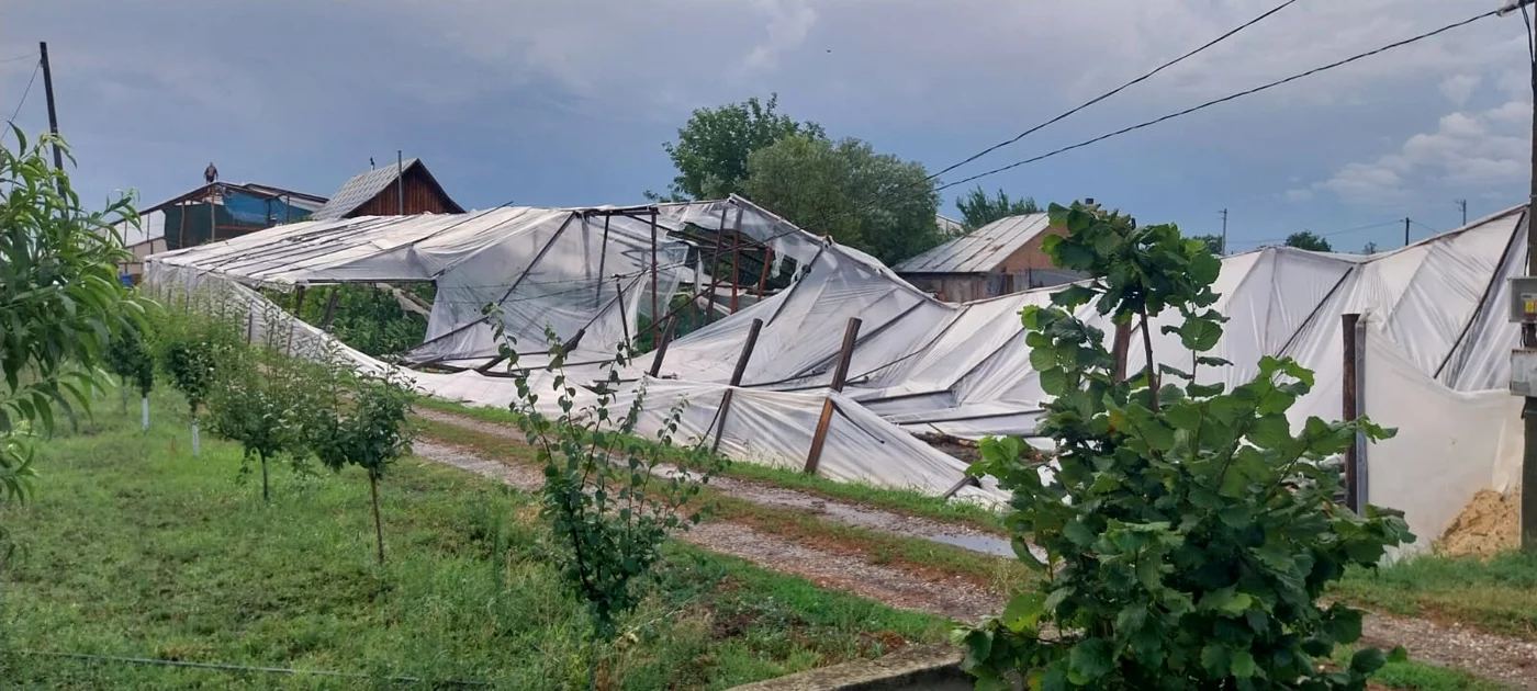 Solarii distruse la Matca FOTO: Gheorghe Marin