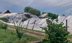 poza solar jpg