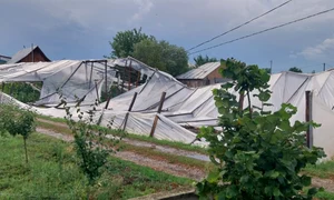 poza solar jpg