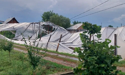 poza solar jpg