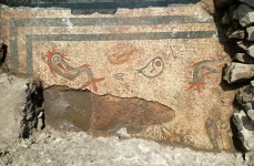 swf24 1 aquatic mosaic copyright paul belford heritage innovation webp