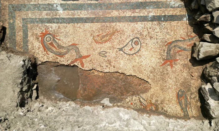 swf24 1 aquatic mosaic copyright paul belford heritage innovation webp