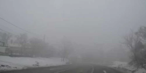 Şoferii au circulat cu viteză redusă din cauza ceţii dense