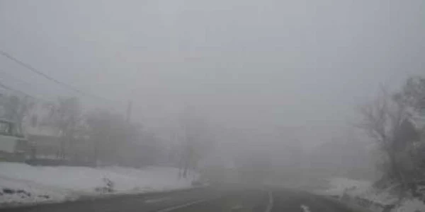 Şoferii au circulat cu viteză redusă din cauza ceţii dense