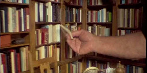 Biblioteca în miniatură Thurkowiana Minor din Olanda şi creatorul său Guus Thurkow Foto boekendingen nl