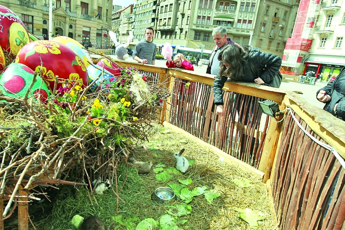 Iepuraşii ţopăiau zglobii  prin ţarcul amenajat în  centrul oraşului de pe Bega