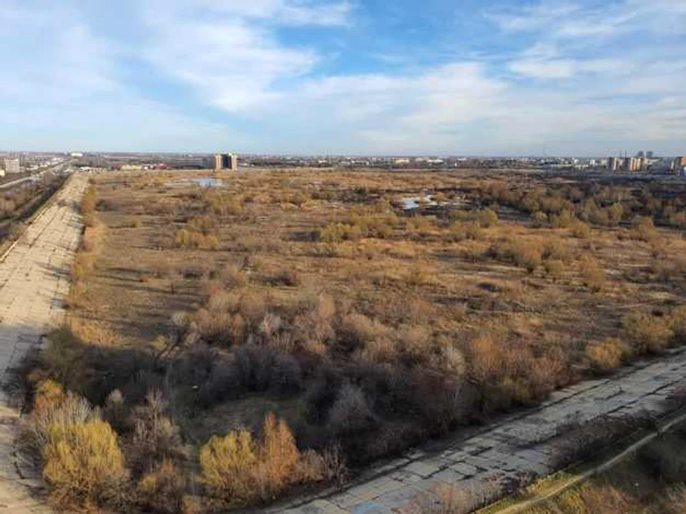 Delta Vacaresti dupa incendiu FOTO Facebook / Parcul Natural Văcăreşt