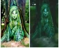 Artă stadală unică pe copacii din Râmnicu Vâlcea- autor Adrian Luţă Foto Arhiva personală