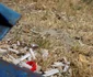 Mizerie de nedescris în zona Falezei Dunării de la Galaţi FOTO Costel Crângan