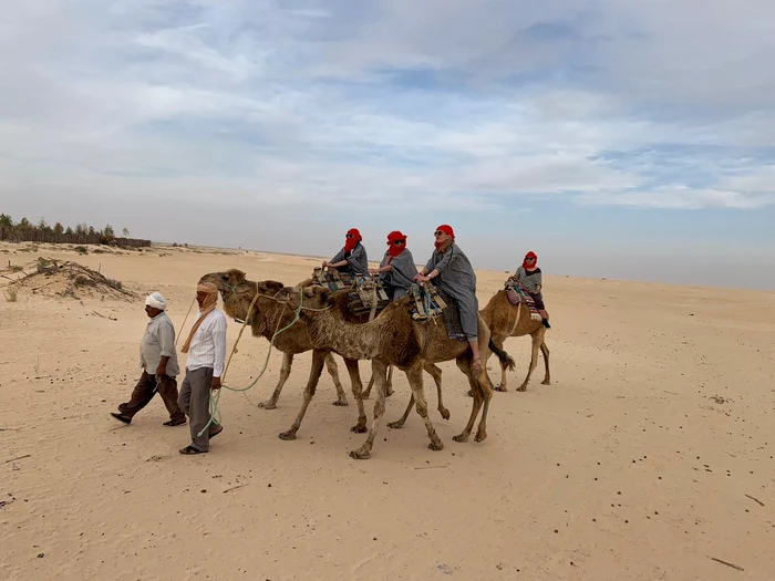 Cu cămilele în Deșertul Sahara