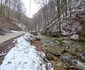 Valea Anineșului Drumul spre Fața Cetei (2) jpg