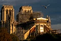 catedrala notre dame jpeg
