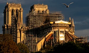 catedrala notre dame jpeg