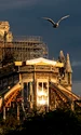 catedrala notre dame jpeg