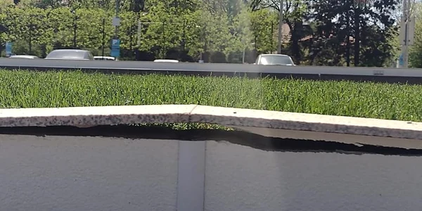 crapaturi piata primariei pitesti