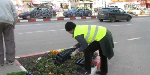 Curăţenie aşteptată