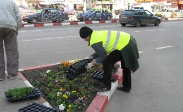 Curăţenie aşteptată