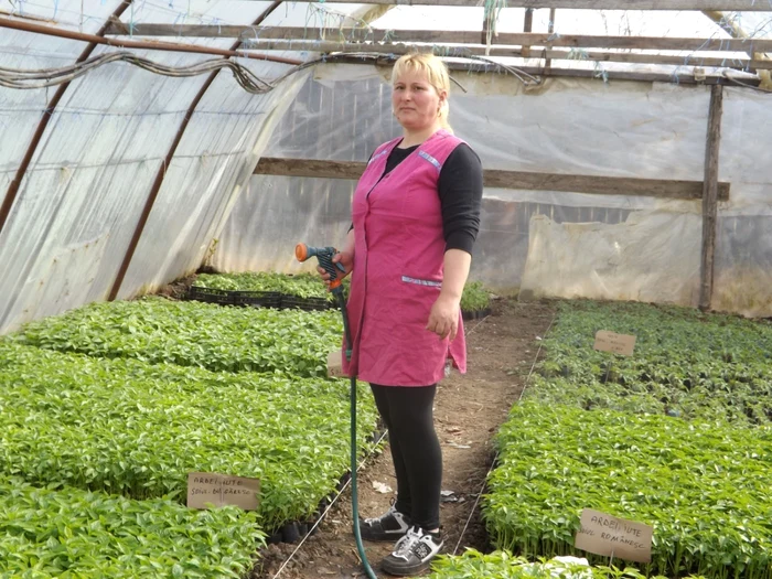 Pompilia Bădâi, unul din legumicultorii de succes din comuna mehedinţeană Cioroboreni FOTO Corina Macavei