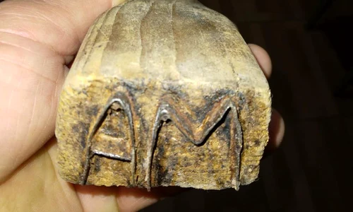 582635044 1291967152928230 6697738672322812406 n jpg