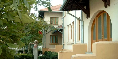lic arta tulcea
