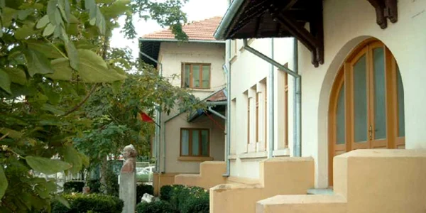 lic arta tulcea