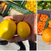  lămâile și portocalele subdimensionate, considerate furaj animalier în țările civilizate, sunt vândute în România drept produse de „calitatea I”. FOTO FB Paul Anghel