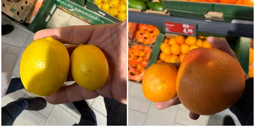  lămâile și portocalele subdimensionate, considerate furaj animalier în țările civilizate, sunt vândute în România drept produse de „calitatea I”. FOTO FB Paul Anghel