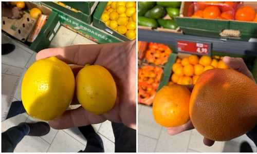 lămâile și portocalele subdimensionate, considerate furaj animalier în țările civilizate, sunt vândute în România drept produse de „calitatea I”. FOTO FB Paul Anghel