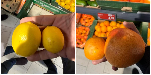  lămâile și portocalele subdimensionate, considerate furaj animalier în țările civilizate, sunt vândute în România drept produse de „calitatea I”. FOTO FB Paul Anghel