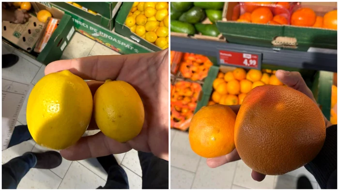 Director ANPC: „Suntem bătaia de joc a importatorilor de citrice! Cum ajung la raft?”