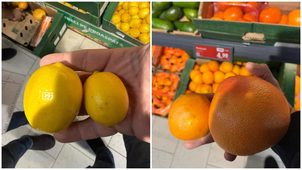 Director ANPC: „Suntem bătaia de joc a importatorilor de citrice! Cum ajung la raft?”