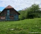 Comuna Bătrâna din Hunedoara Foto Daniel Guță ADEVĂRUL (50) jpg